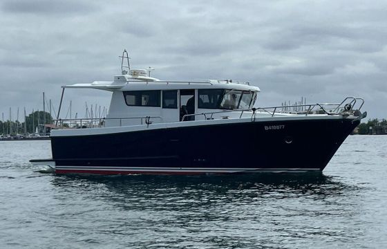 Sargo 36