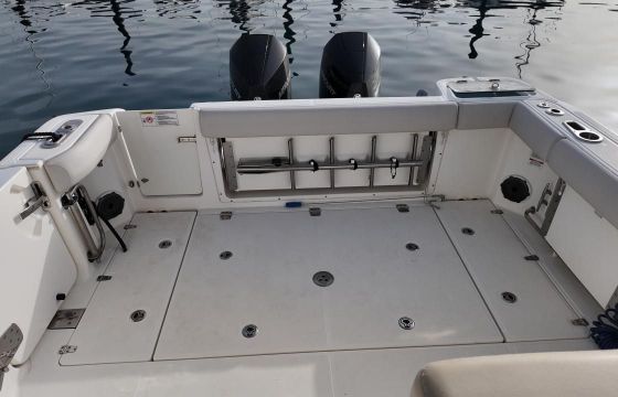 Boston Whaler Conquest 325