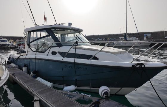 Boston Whaler Conquest 325