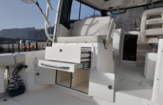 Boston Whaler Conquest 325