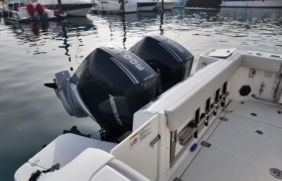 Boston Whaler Conquest 325