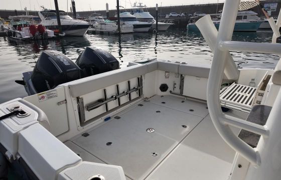 Boston Whaler Conquest 325