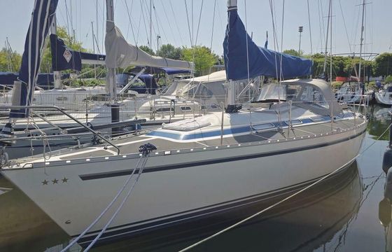 Dynamic 37