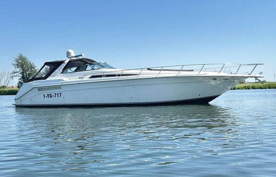 Sea Ray 500