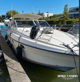 Princess 385