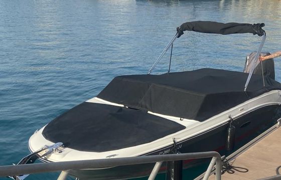 Sea Ray SPX 230 OB