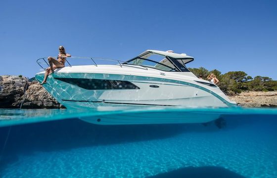 Sea Ray Sundancer (DAE) 320 (NEU auf Bestellung)