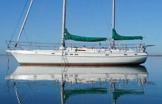 Morgan Out Island 51