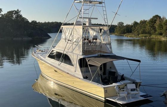 48 Sport Fish