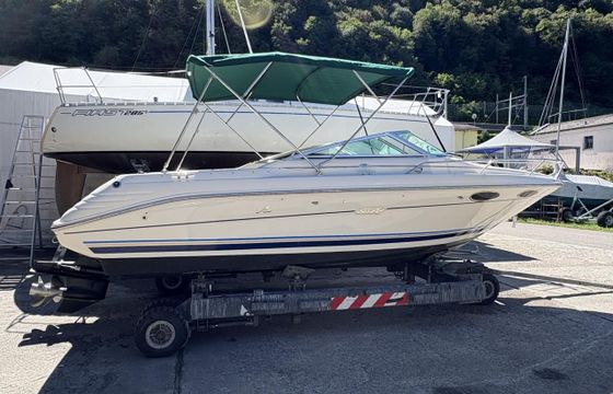 Sea Ray 220