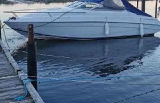 Chris Craft 228 Concept