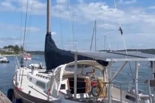 Pearson 36