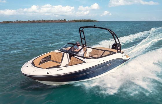 Sea Ray SPX 190 OB Europe
