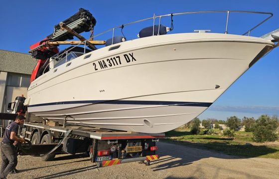 Fiart 36 Genius