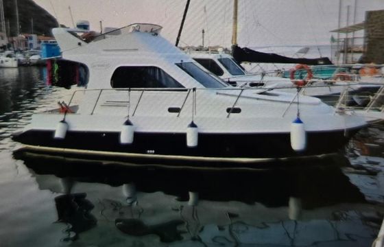 Nautica Po Sea world 31