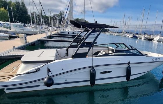 Sea Ray SPX 230 Europe