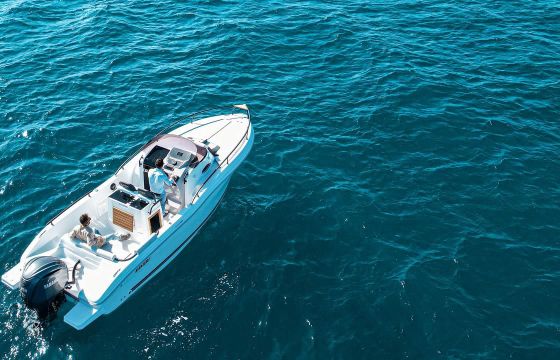 Ranieri Boat sauvage 24