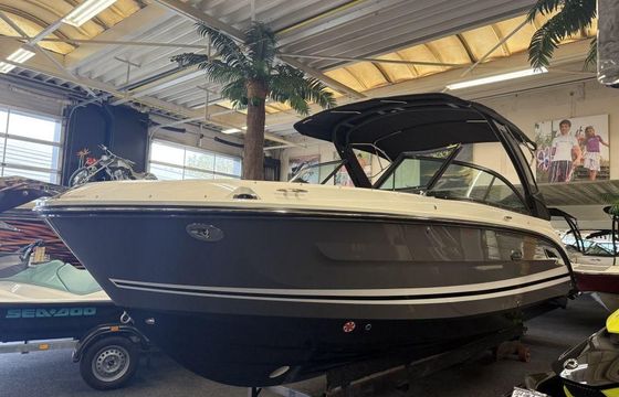 Sea Ray SDX 250 Outboard