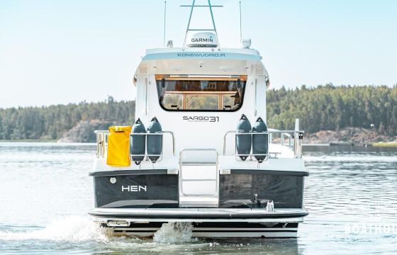 Sargo 31