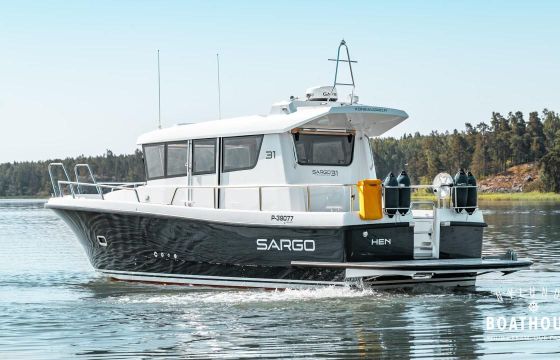 Sargo 31