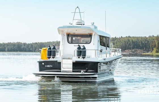Sargo 31