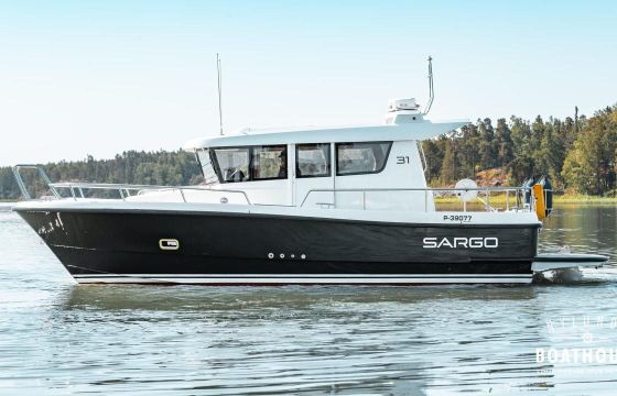 Sargo 31