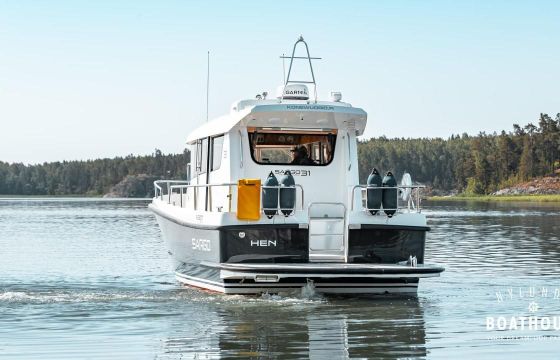Sargo 31