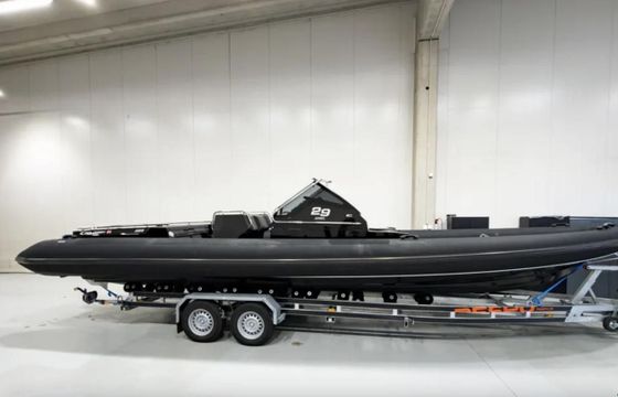 Goldfish 29 Sport