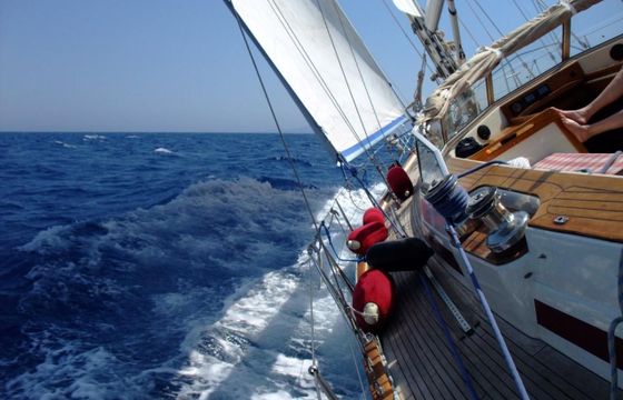 Najad Aphrodite 51