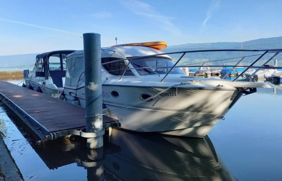 Sessa Dorado 26