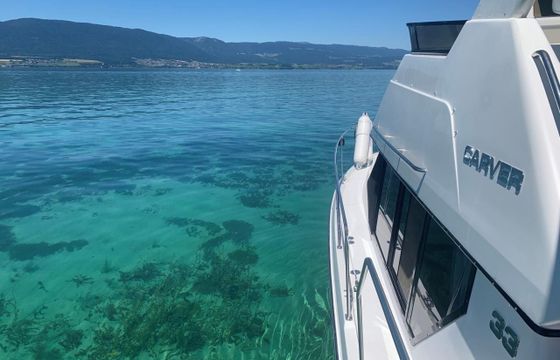 Carver 33 Aft Cabin