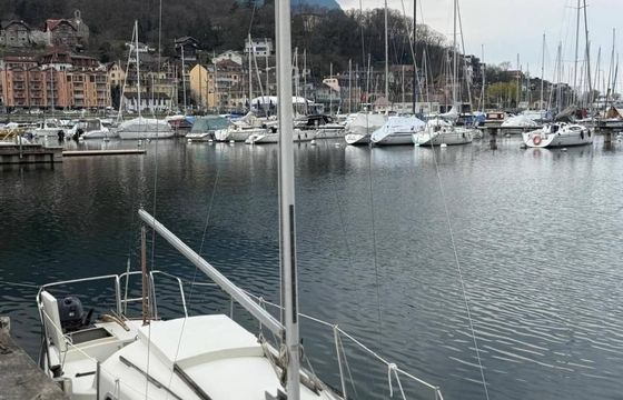 Korneuburg Shark 24