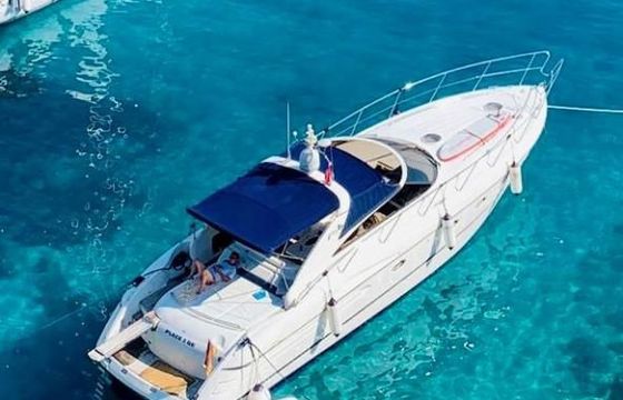 Princess V 50