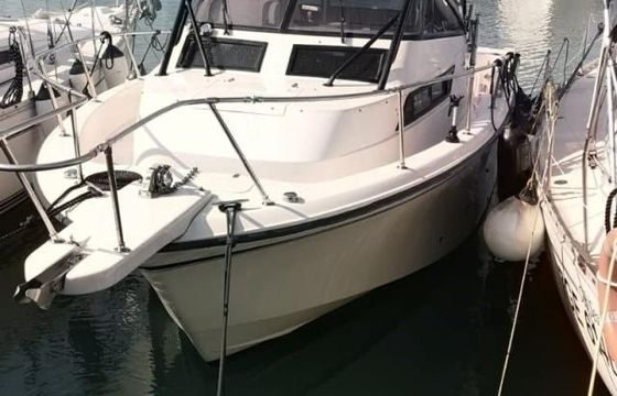Grady White Boats 300 Marlin WA