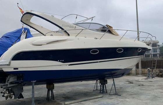 Atlantis Gobbi 315 SC