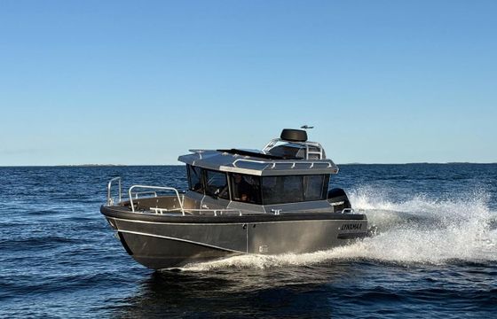 Lynxmar C22
