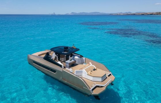 Catamaran Money Penny Seavy 11