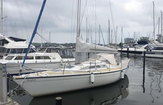 Dehler 343 Top nova