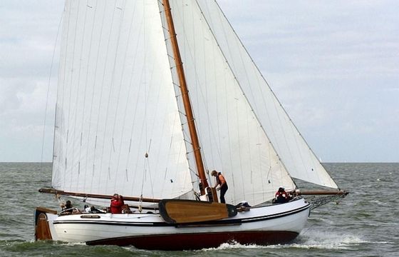 Lemsteraak Zilveren Zwaan - Hoek Design Roefuitvoer