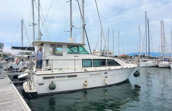 Bertram 42