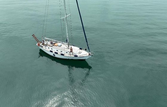Sloop 12