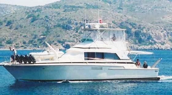 Bertram 54