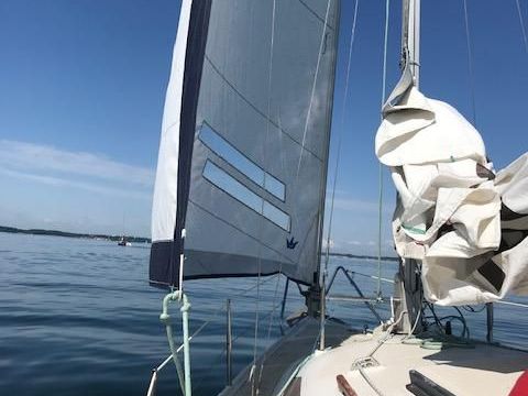 Dehlya 25