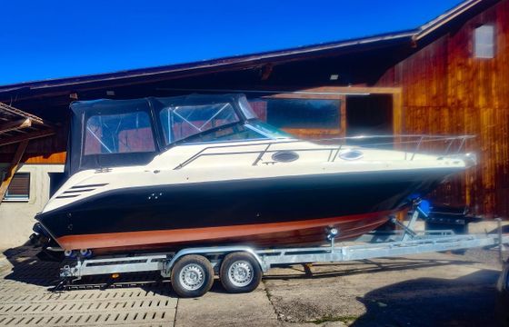 Sea Ray 250 DA Sundancer