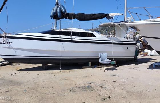 MacGregor 26 X
