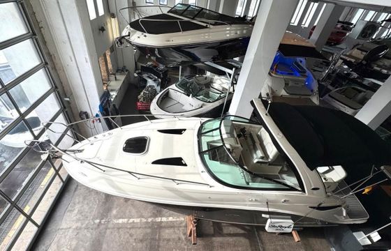 Sea Ray 265