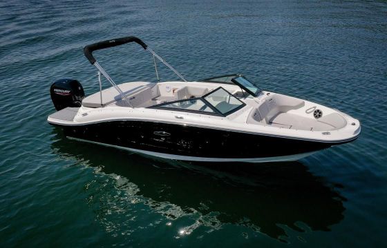 Sea Ray SPX 190 OB