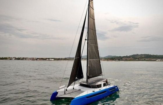 Swiss Cat 55