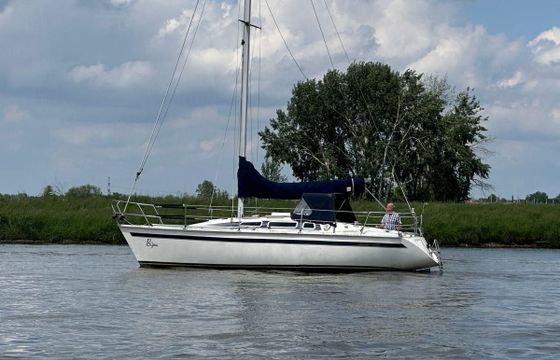 Jouet 920