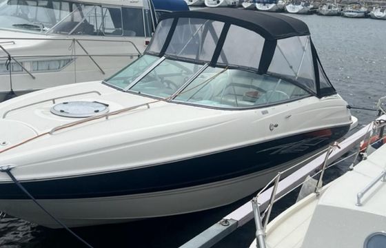 Bayliner Cuddy 802